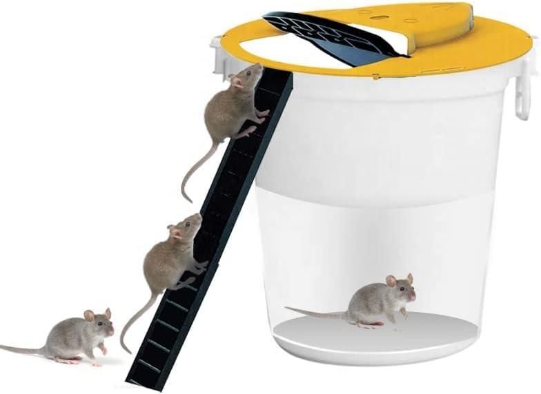 Humane Slide Bucket Mouse Trap with Ramp – Safe, Reusable & Pet-Friendly